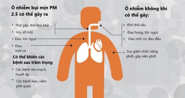 tác hại của bụi đối với con người